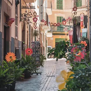 https://cas-cuscanti.allmallorcahotels.com